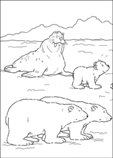 coloring page Lars the little polar bear